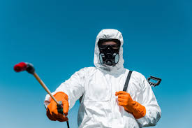 Real Estate Pest Inspections in Port Jervis, NY